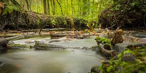I follow river