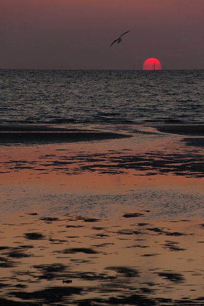 sunset by Jehee Fotografie