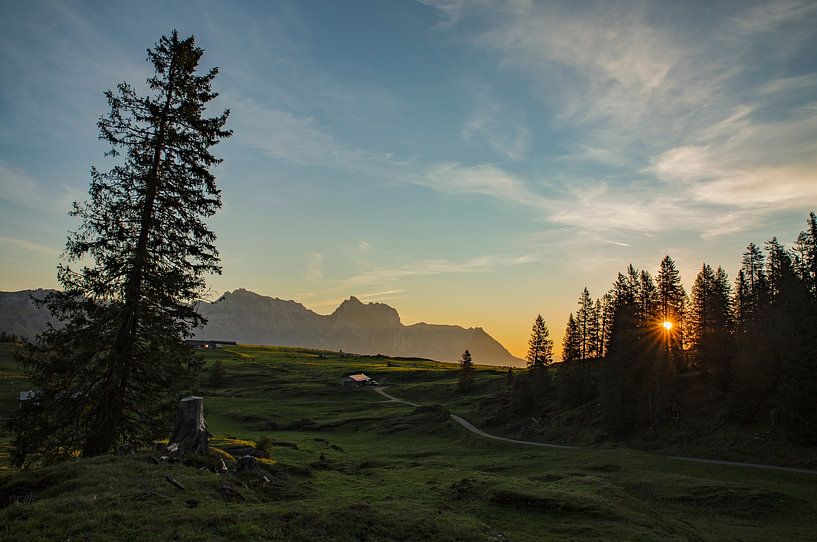 Sonnenaufgang auf der Alp Sellamatt von Martin Steiner
