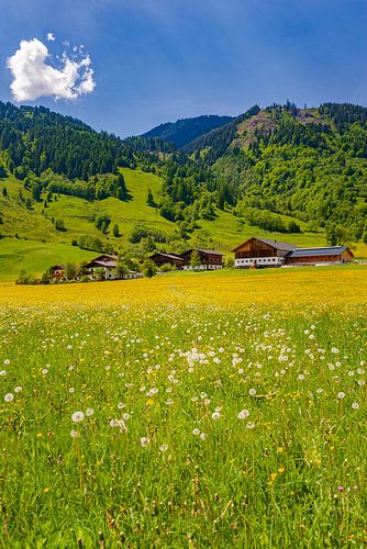 Lente in Oostenrijk