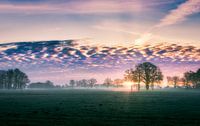 Zonsopkomst boven de weilanden