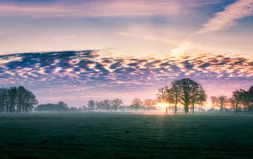 Zonsopkomst boven de weilanden van Jaimy Leemburg Fotografie