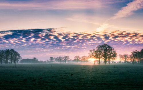 Zonsopkomst boven de weilanden