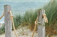 Seilablagerung am Strandpavillon 'Kaap Noord' Texel von Ad Jekel Miniaturansicht