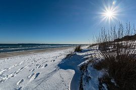 Winter: Dünengras,  Schnee am Strand in Juliusruh auf Rügen