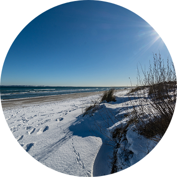 Winter: Duingras, sneeuw op het strand in Juliusruh op het eiland Rügen van GH Foto & Artdesign