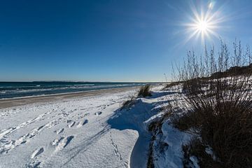 L'hiver : Herbe des dunes, neige sur la plage de Juliusruh sur l'île de Rügen sur GH Foto & Artdesign