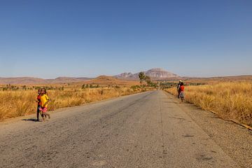 Madagaskar te voet van William Bekkema