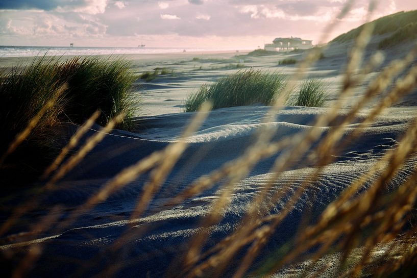 Vue sur la plage par bianca post