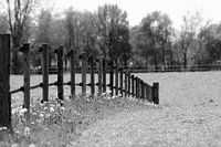 Omheining 