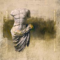 Torso