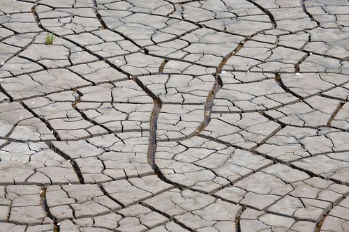 Zoutpannen van Bretagne