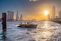 water cab skyline
