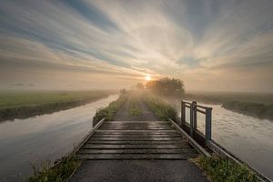 Sonnenaufgang über dem Polder