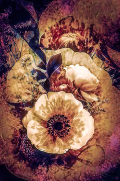 Aranyu, the anemone van Helga Blanke