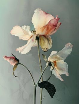 Bloemen in pastelkleuren