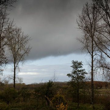 Donkere wolken in een herfstbos van Rene  den Engelsman