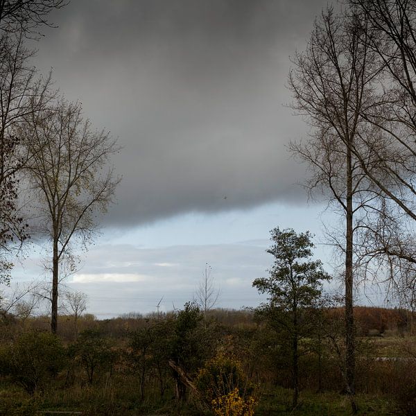 Dark clouds in an autumn forest by Rene  den Engelsman