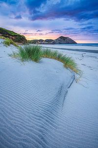 Nieuw-Zeeland Wharariki Strand van Jean Claude Castor