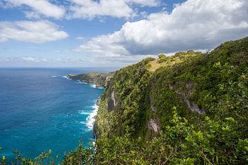 Nusa Penida Bali van Leontien Adriaanse