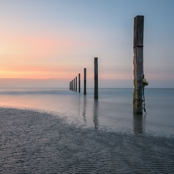 ordinem von B-Pure Photography