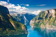 Norway - Aurlandsfjord II by Sascha Kilmer thumbnail
