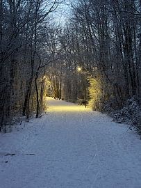 Der Heinisdeich von Frank Laenen