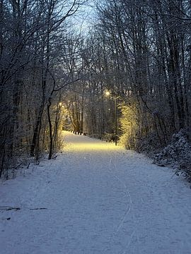 The Heinis dyke by Frank Laenen