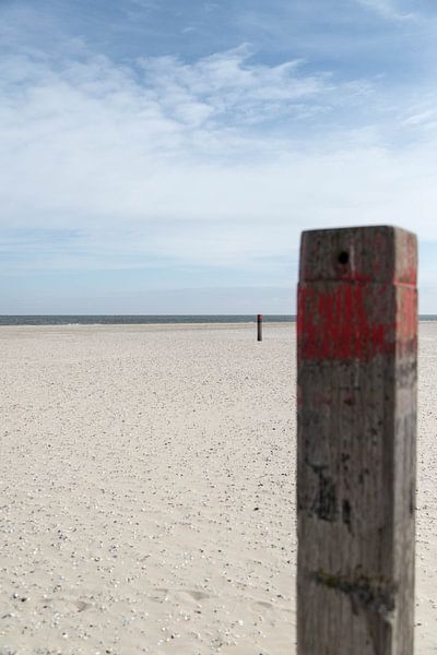 Strand by Wendy Bierings