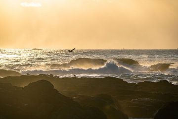 Les cormorans au dessus du ressac sur Kai Müller