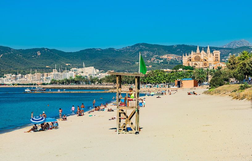 Sand beach at coast of Palma de Majorca with view of Cathedral, Spain Mediterranean Sea by Alex Winter