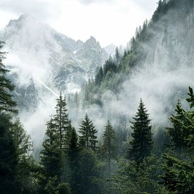 Foggy Forest Mountain Landscape by IamHome Studio