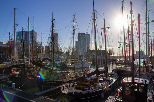 De Veerhaven in Rotterdam