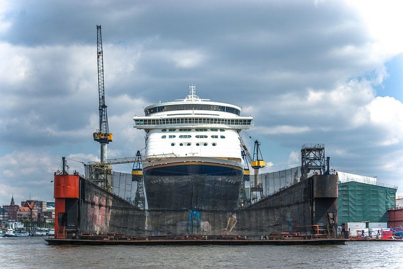 Kreuzfahrtschiff von Norbert Sülzner