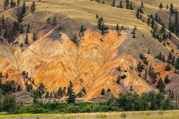 De Painted Hills bij Clinton in British Columbia van Roland Brack