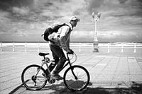 Cyclist on boulevard (black and white)