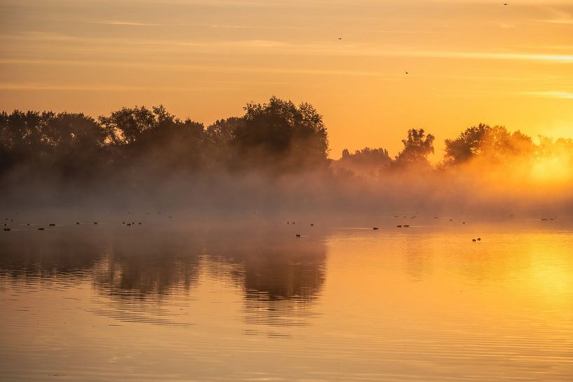 Meinerswijk part 68 by Tania Perneel