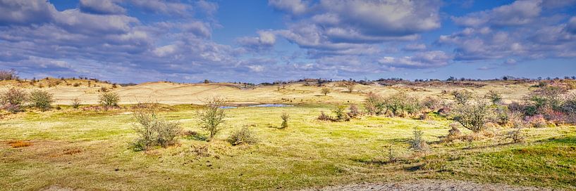 Parc national des Dunes South Kennemerland par eric van der eijkj