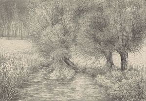 Simon Moulijn, Pollard-Weiden am Grabenrand, 1928