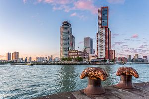 Rotterdam Skyline hinter Felsen von Prachtig Rotterdam