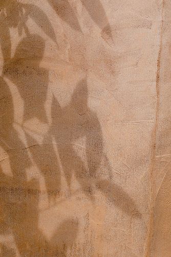 Mur en terre cuite avec jeu d'ombres