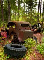 Car tire in the forest
