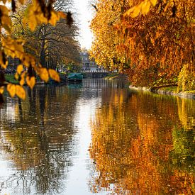 Le canal de la ville (Tolsteegsingel) aux couleurs de l'automne (debout). sur André Blom Fotografie Utrecht
