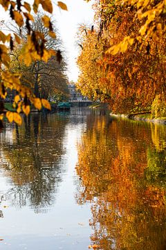 Le canal de la ville (Tolsteegsingel) aux couleurs de l'automne (debout).