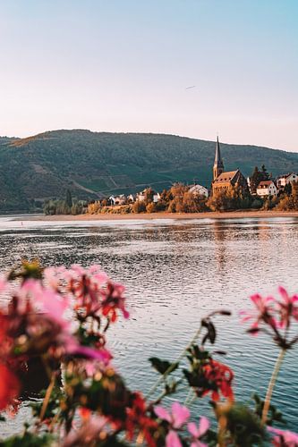 Golden Hour about typical German village on the Rhine.