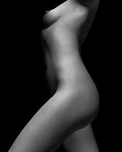 Femme nue –  Etude de nu de Jamie No 5 sur Jan Keteleer