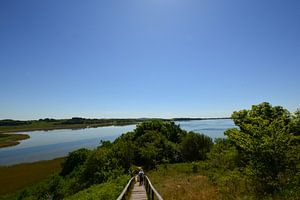 Baaber Bek -  Moritzburg - Am Horizont der Fliegerberg