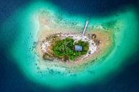 Einsam auf der Insel van Michael Schwan thumbnail