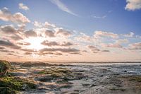 Natuurlijk strand