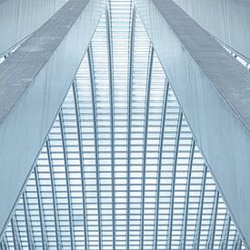 Linien und Kurven im hochmodernen Bahnhof von Lüttich - Guillemins von Daan Duvillier | Dsquared Photography
